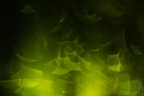 Billion Kasino Podpora